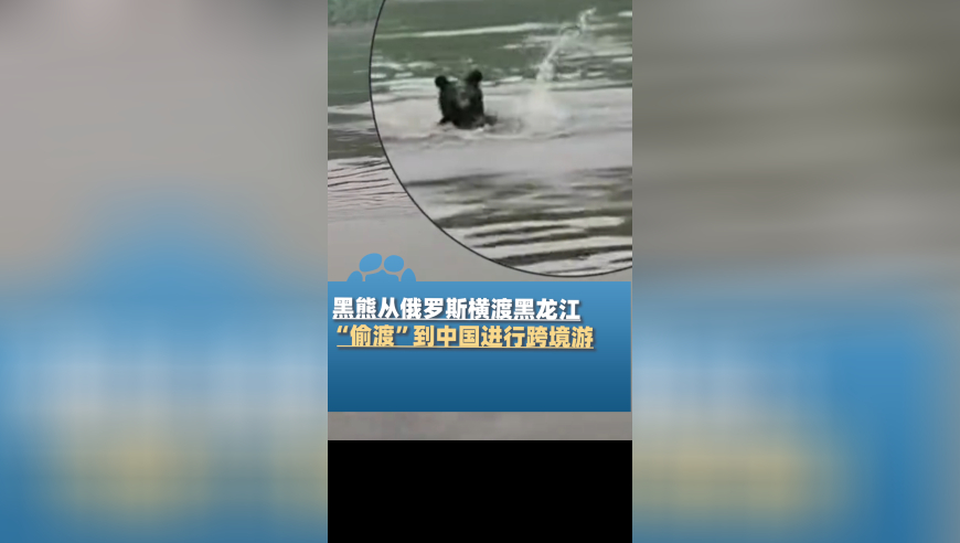 澳门4949资料正版免费大全,泽连斯基：连10美分都不会还美国,广泛的解释落实支持计划_iPadV5.70